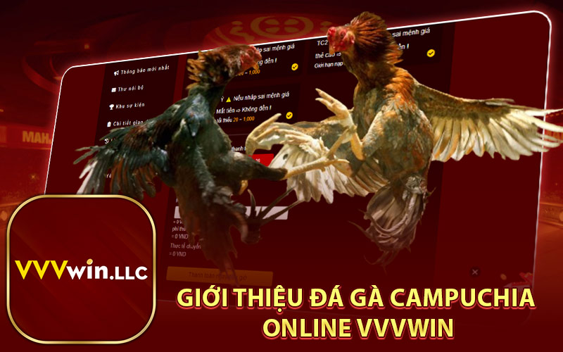 Giới Thiệu Đá Gà Campuchia Online VVVWin